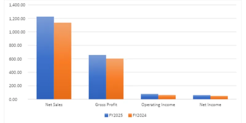 Financial Summary Table